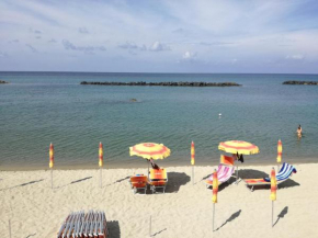 Pitosforo - Ulivo - Cocco Ischia